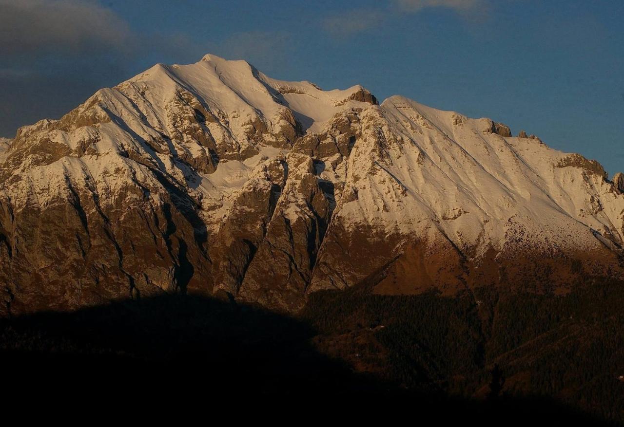 Catif Ladru Bed & Breakfast Cerveno Exterior foto