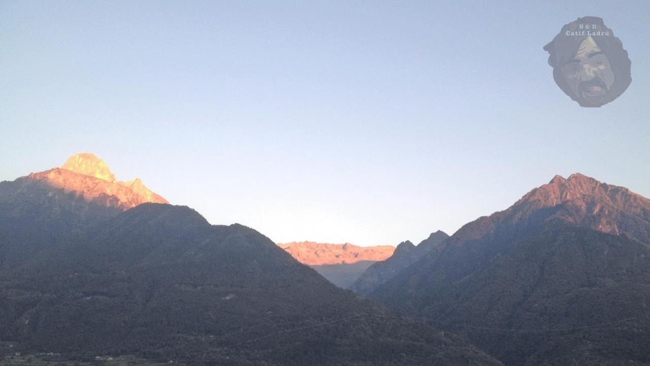 Catif Ladru Bed & Breakfast Cerveno Exterior foto
